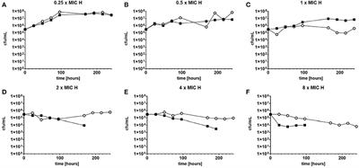 Implications of drug-induced phenotypical resistance: Is isoniazid radicalizing M. tuberculosis?